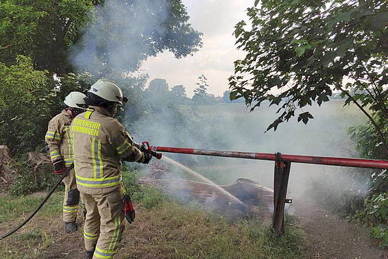 LeineBlitz: Feuerwehr Löscht Brennenden Baum In Hemmingen-Westerfeld